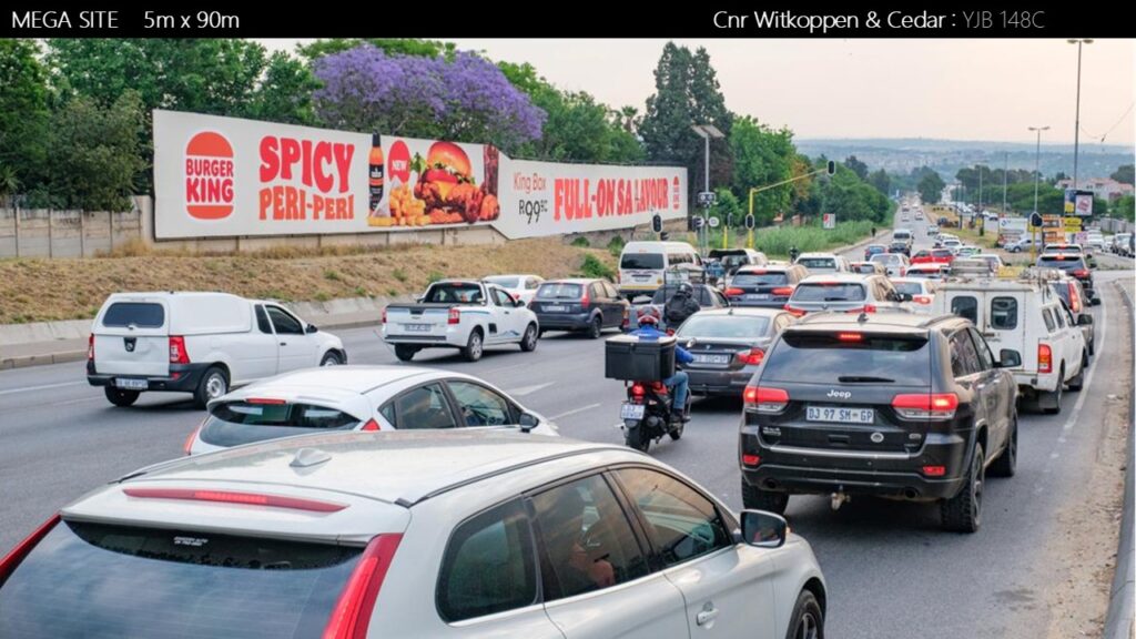 Witkoppen & Cedar_YJB148C